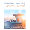 Homeschool Novel Study - Summer Promise